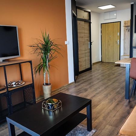 Apartament Ginger - Stare Miasto - Bezplatny Parking - Youtube Apartament Ginger We Wroclawiu Luaran gambar